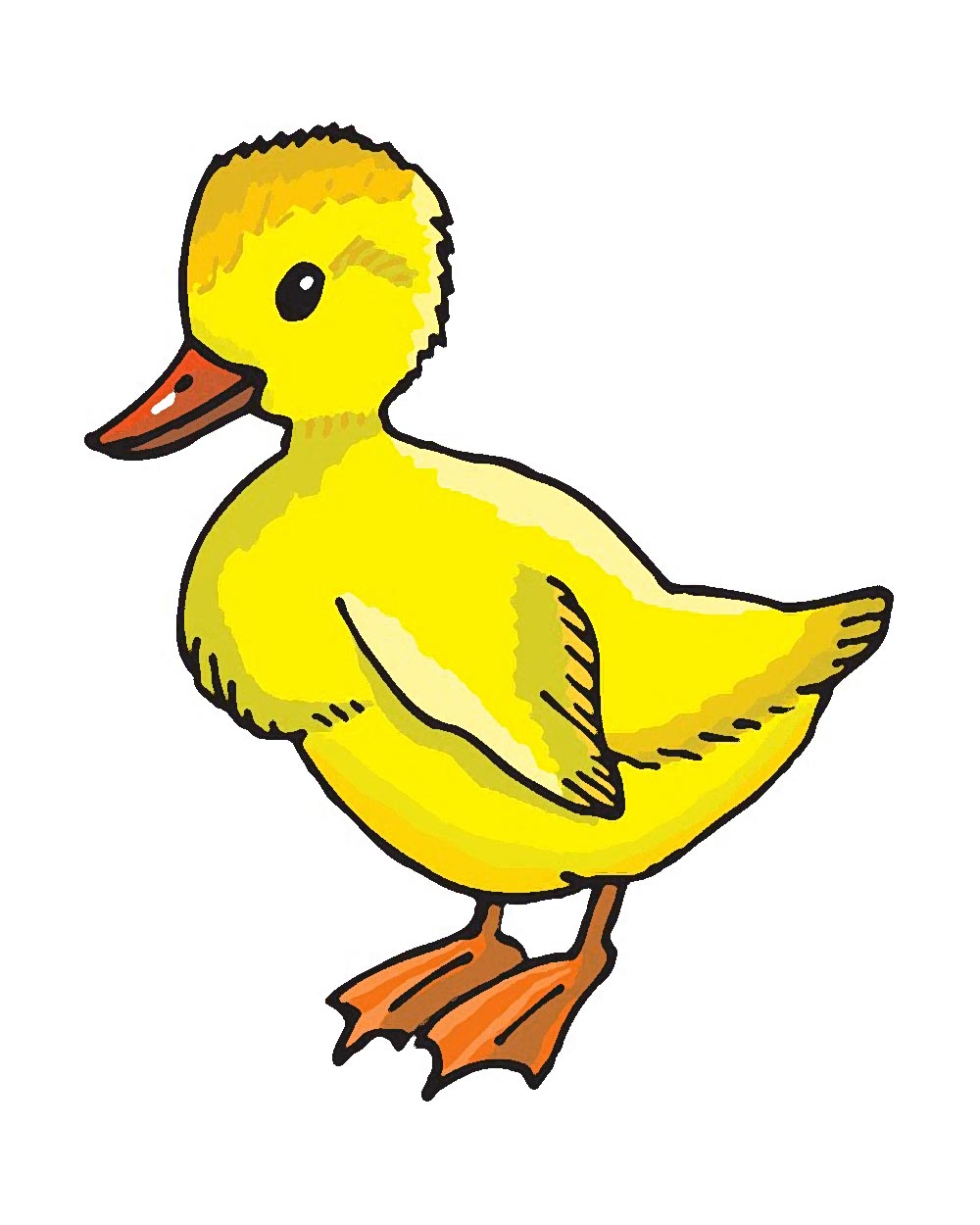Eh up Me Duck!