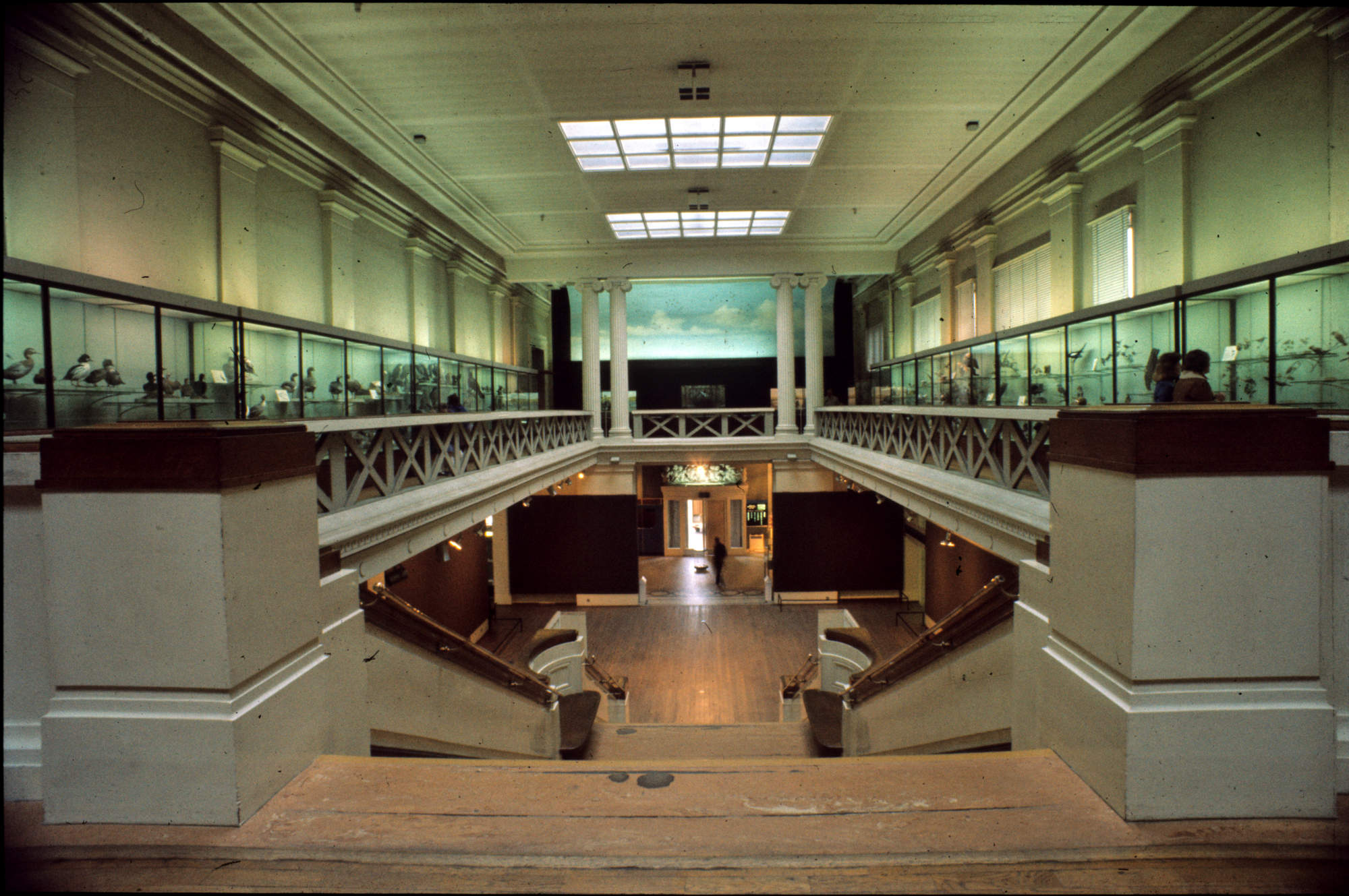 Bird Gallery 1977