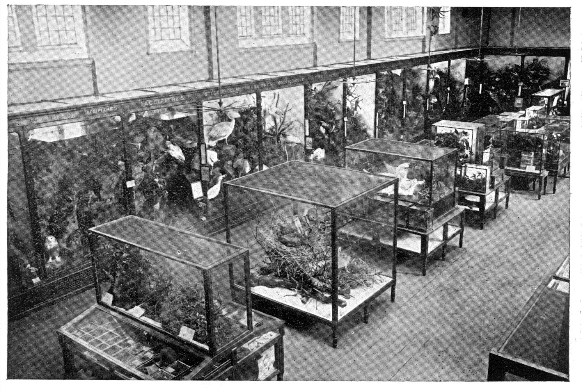 In 1882 extra windows were inserted in the first floor room, and the ground floor window sills were lowered by 3 feet, letting in much more light.